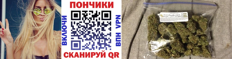 как найти закладки  darknet Telegram  Бошки Шишки семена  Кингисепп  KRAKEN маркетплейс 